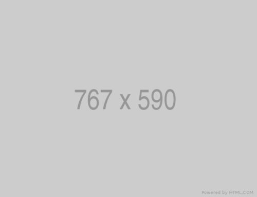 Scenes from Stepan  Hawkin’s World